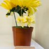 Pendiente aro de flores