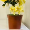 Pendiente aro de flores