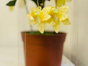 Pendiente aro de flores